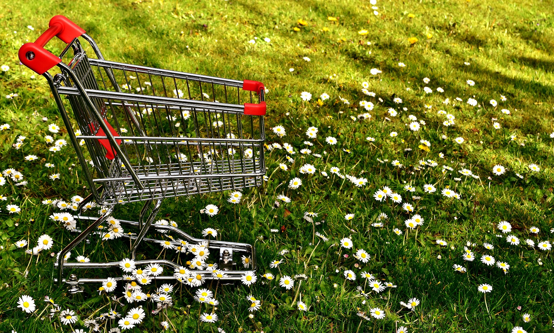 Shopping Cart